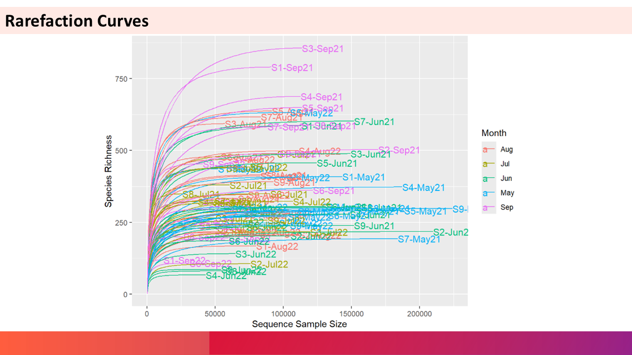Rarefaction Curves